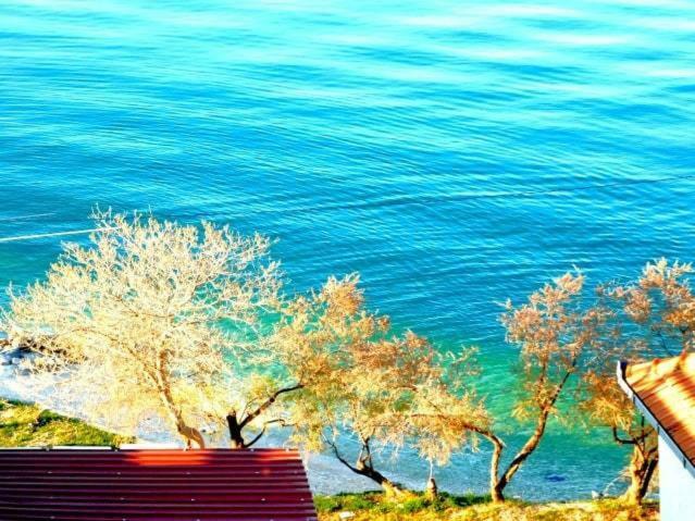 Littlevenice Appartme 50M From Sea Trogir Extérieur photo